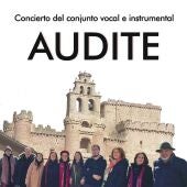 Concierto del grupo AUDITE