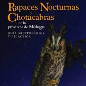 Rapaces nocturnas y Chotacabras