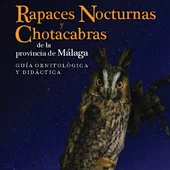 Rapaces nocturnas y Chotacabras Rapaces nocturnas y Chotacabras