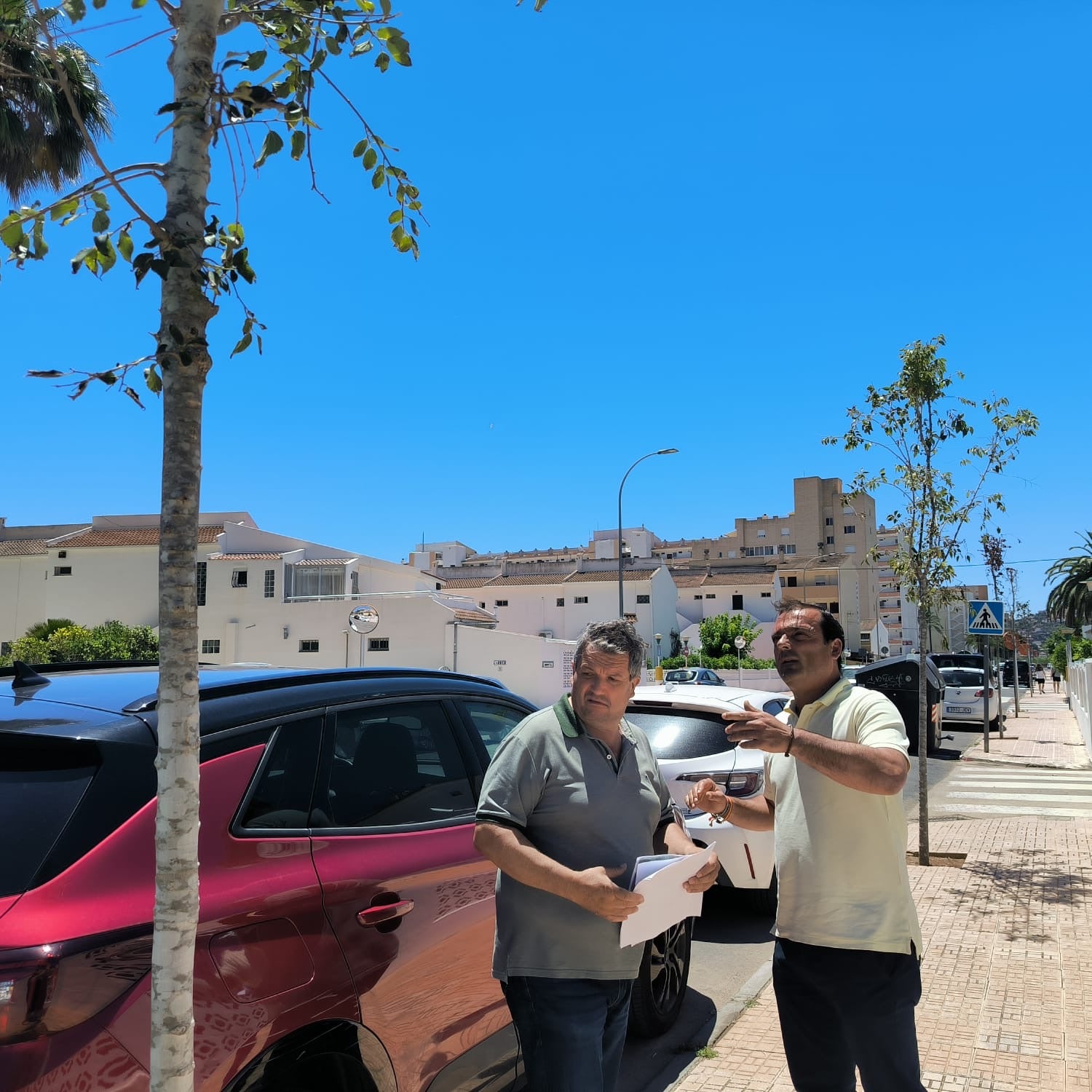 Peñíscola destina más de 10.000€ a plantar arbolado Peñíscola destina más de 10.000€ a plantar arbolado