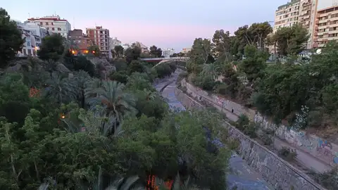 Elche. Elche.