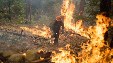 Protecci&oacute;n Civil y Emergencias alerta por riesgo de incendios forestales y por altas temperaturas en gran parte del pa&iacute;s