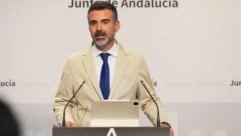 Ramón Fernández-Pacheco en una imagen de archivo tras un Consejo de Gobierno. Ramón Fernández-Pacheco en una imagen de archivo tras un Consejo de Gobierno.