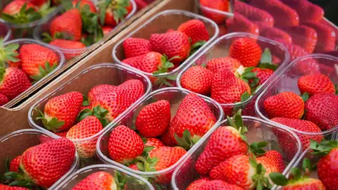 Fresas de Huelva. - María José López - Europa Press Fresas de Huelva. - María José López - Europa Press