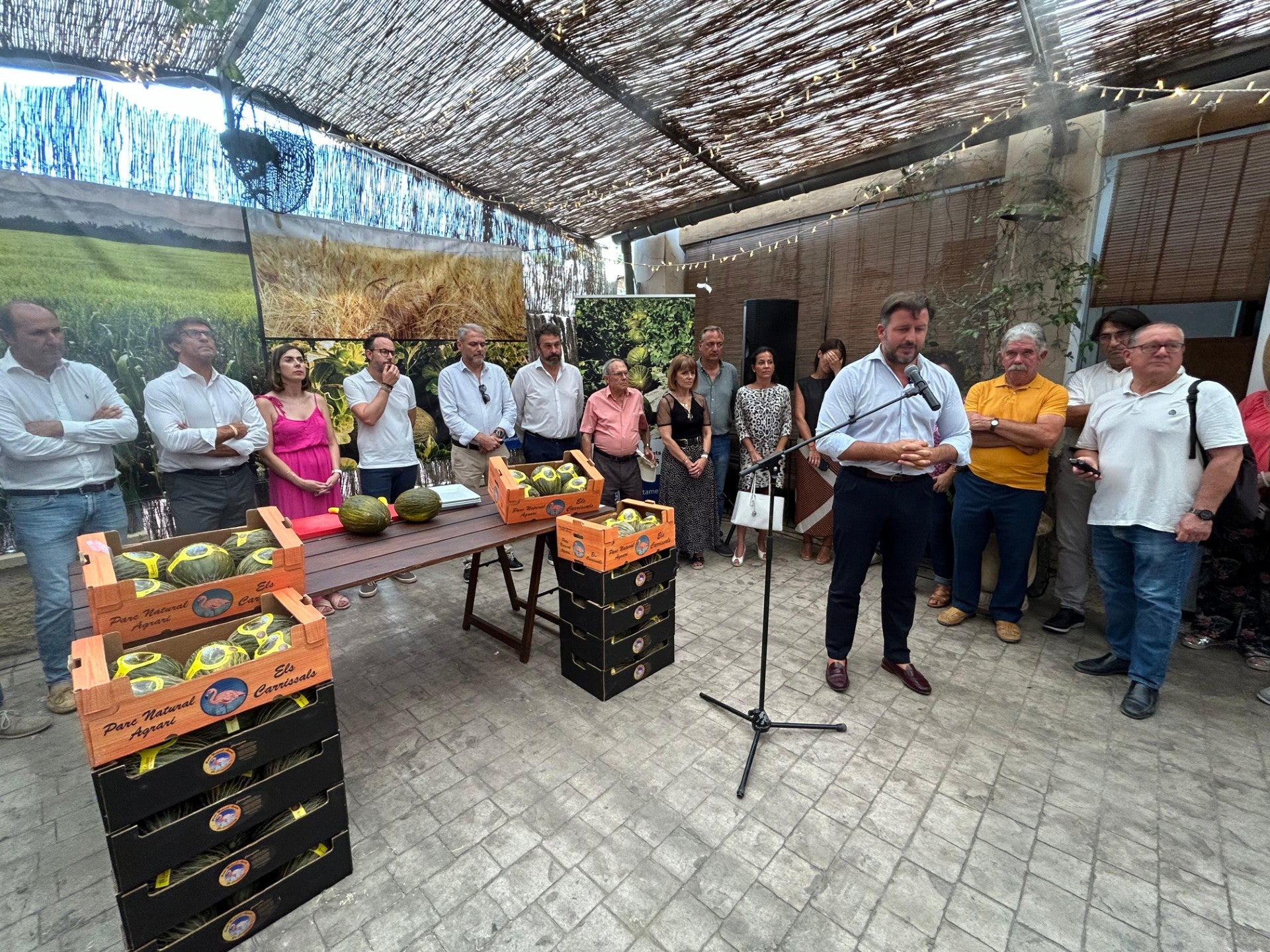 La producción de melón de Carrizales de Elche supera los 420.000 kilos esta temporada La producción de melón de Carrizales de Elche supera los 420.000 kilos esta temporada