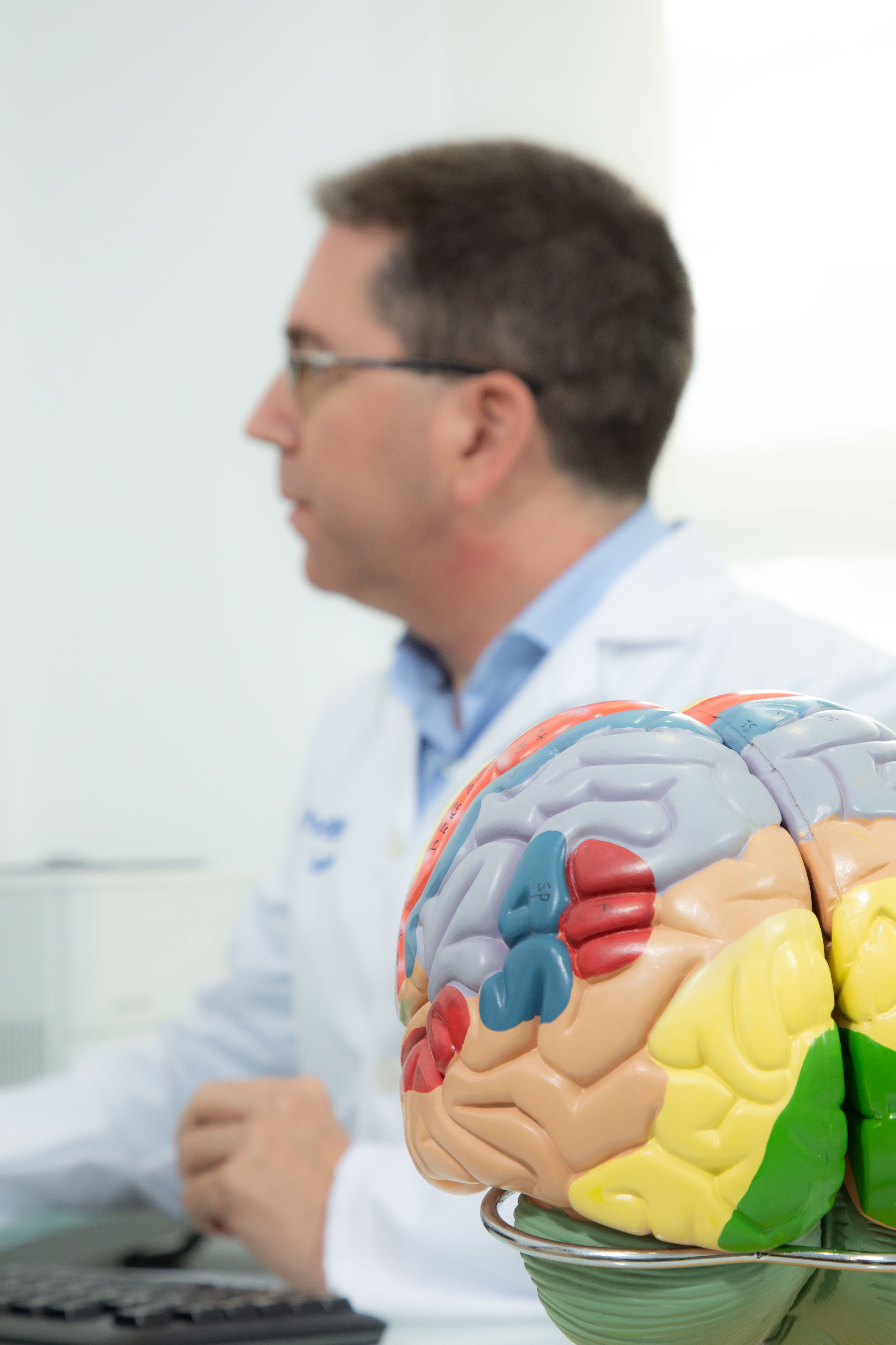 Los mitos y realidades de la plasticidad cerebral Los mitos y realidades de la plasticidad cerebral