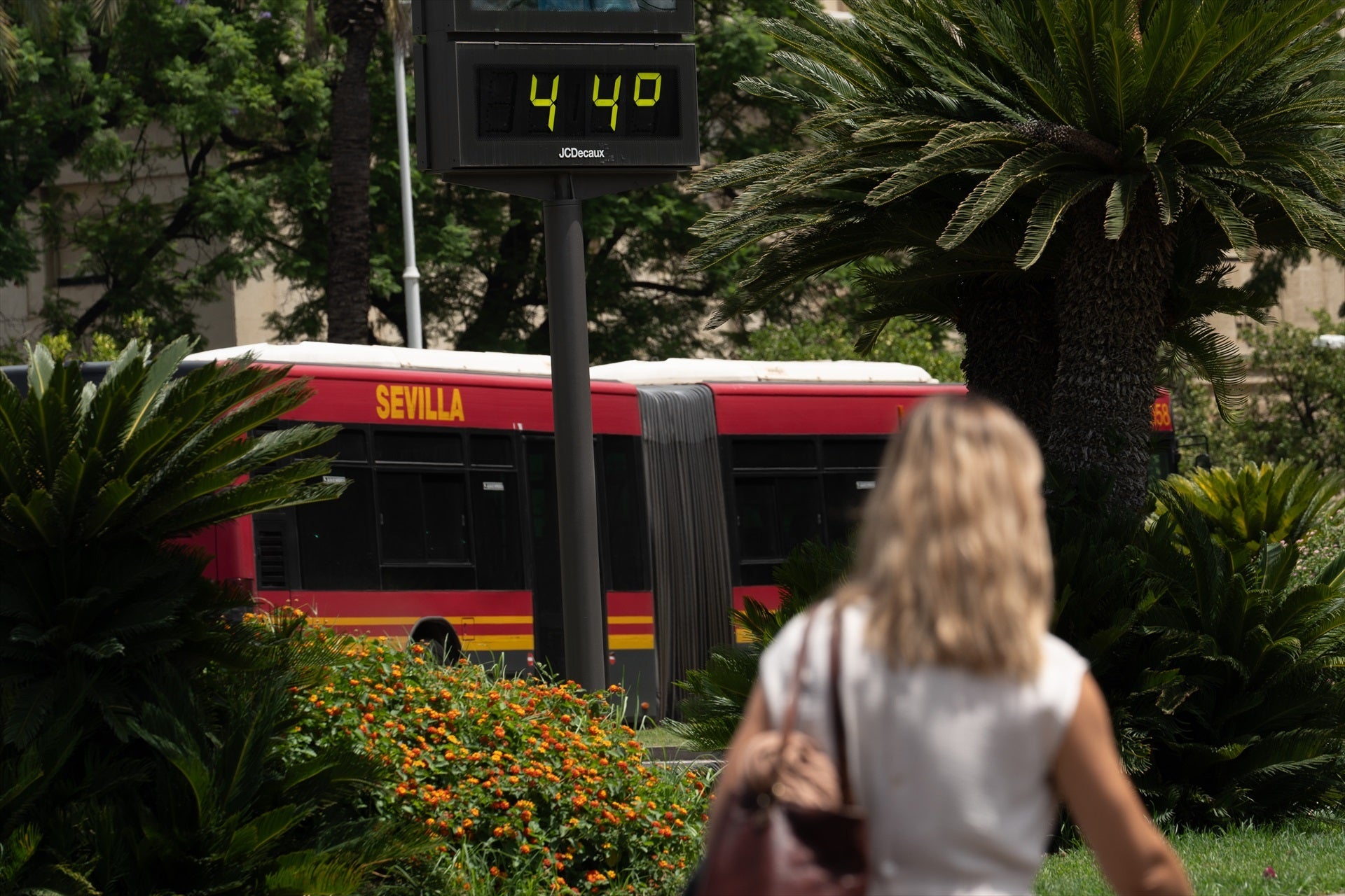 La ola de calor empieza a remitir pero vuelve a dejar temperaturas sofocantes el fin de semana La ola de calor empieza a remitir pero vuelve a dejar temperaturas sofocantes el fin de semana