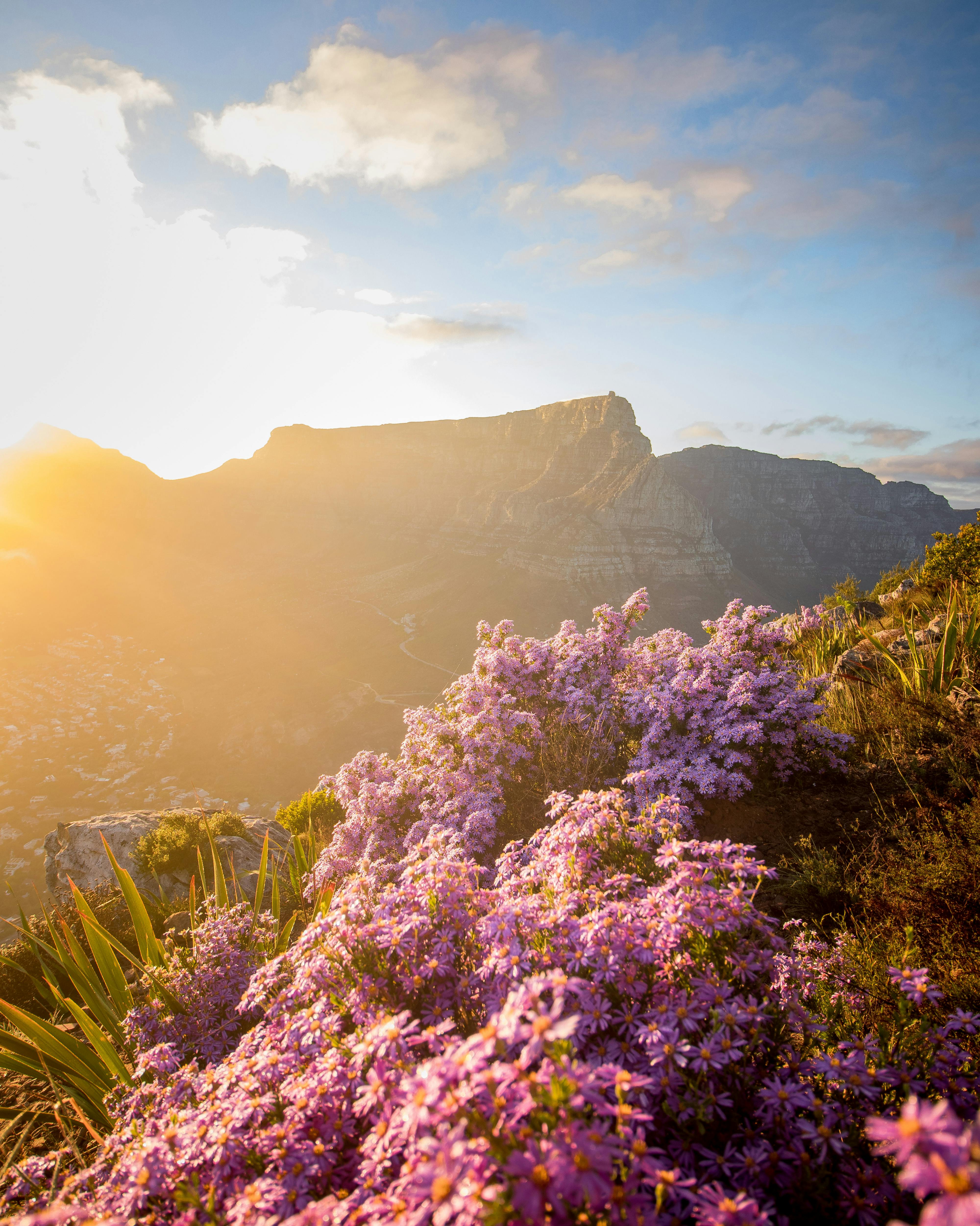 Los imprescindibles para un viaje perfecto a Sudáfrica Los imprescindibles para un viaje perfecto a Sudáfrica
