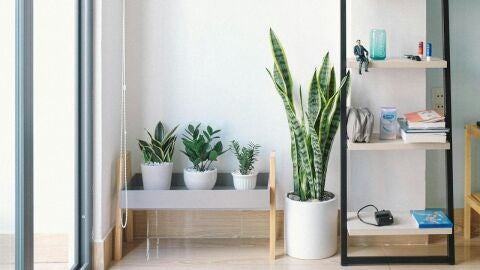Imagen de archivo de una vivienda con varias plantas de interior