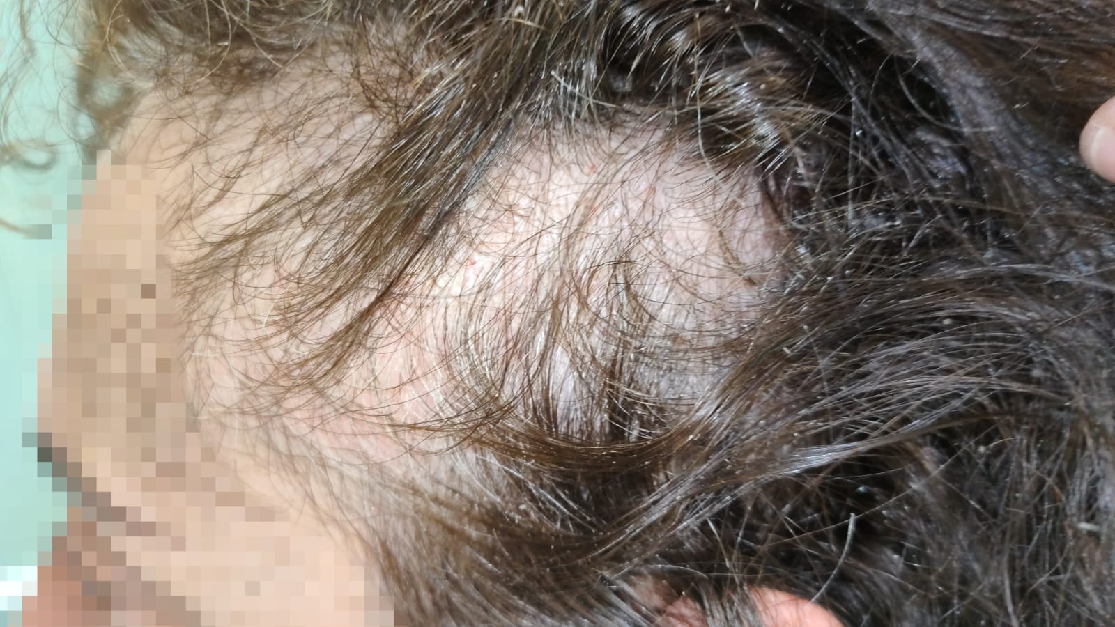 Nova agressió d'una interna a una funcionària a la presó de Mas d'Enric Nova agressió d'una interna a una funcionària a la presó de Mas d'Enric