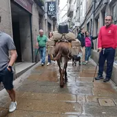 Vecinos de Santiago se muestran sorprendidos por el paseo de un burro por la rúa Calderería Vecinos de Santiago se muestran sorprendidos por el paseo de un burro por la rúa Calderería