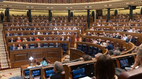 Vista general de las votaciones durante un pleno en el Congreso de los Diputados, a 20 de junio de 2024, en Madrid (Espa&ntilde;a). 