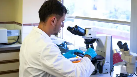 Un investigador mirando el microscopio Un investigador mirando el microscopio