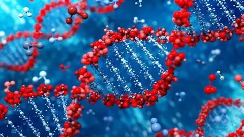 Ilustración de una cadena genética Ilustración de una cadena genética