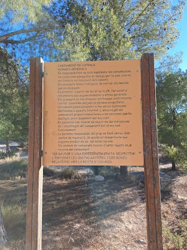 Un total de sesenta adolescentes de Petrer participan este año en el campamento de voluntariado ambiental Un total de sesenta adolescentes de Petrer participan este año en el campamento de voluntariado ambiental