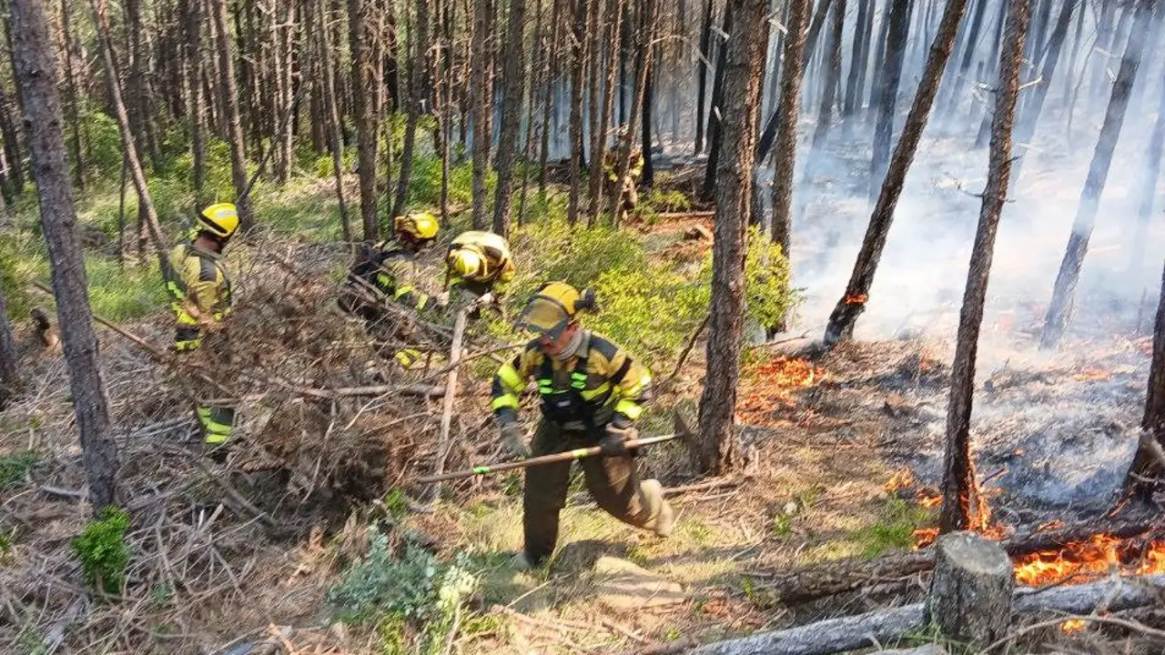 Efectivos en la extinción del incendio de El Pueyo de Araguás Efectivos en la extinción del incendio de El Pueyo de Araguás