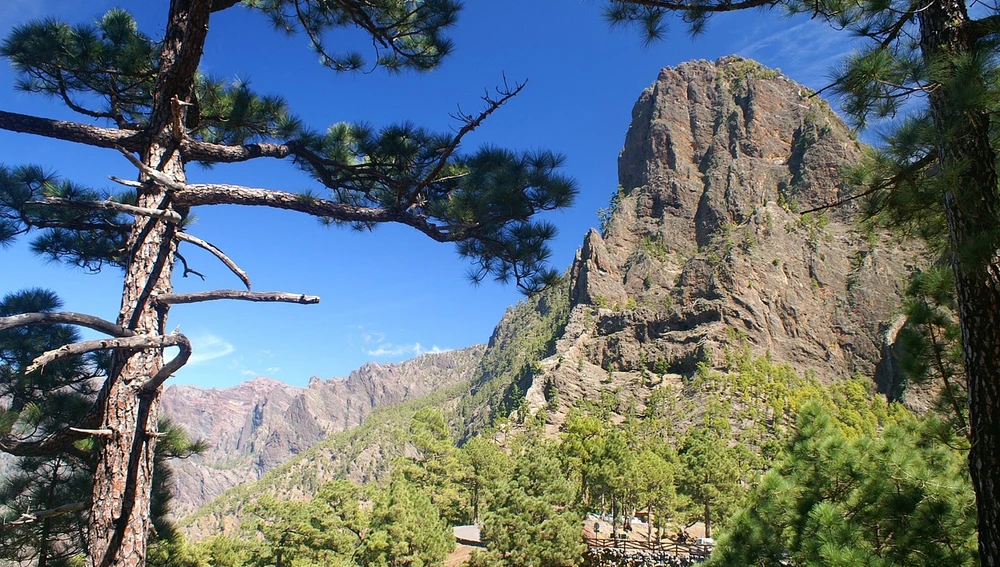 Senderismo en La Palma Senderismo en La Palma