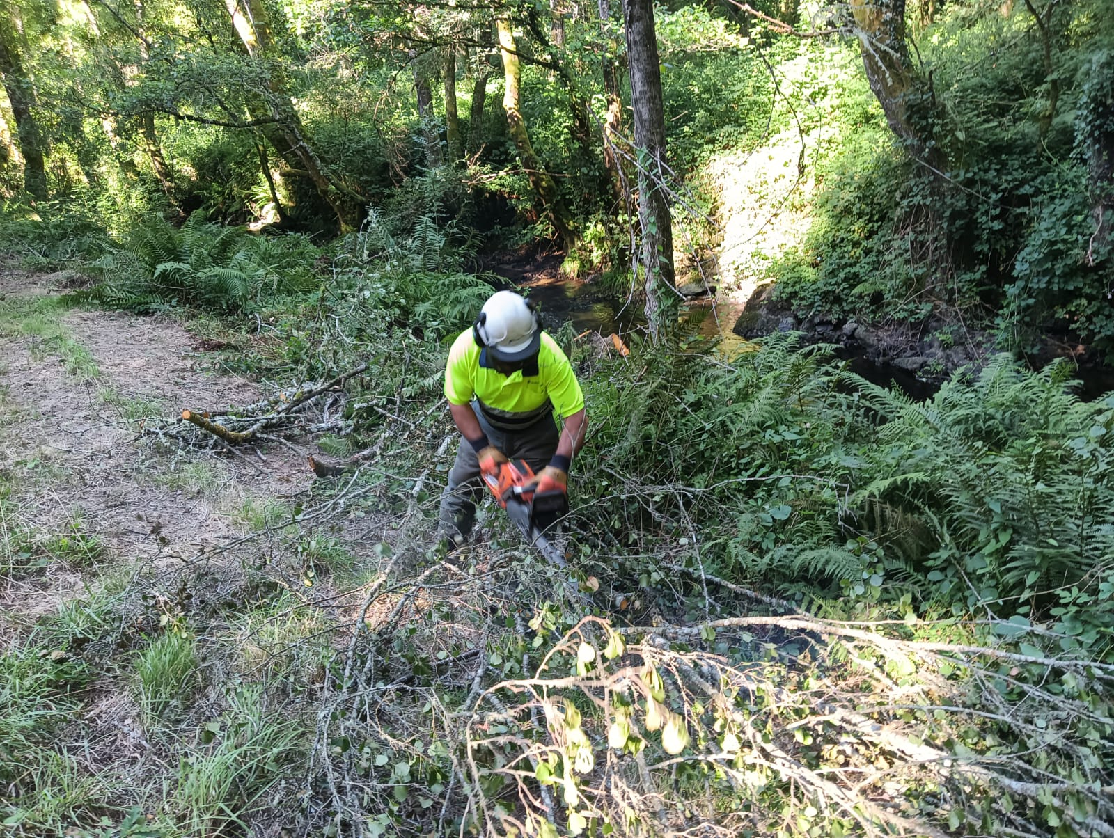 Intensificanse os traballos de de conservación e mellora de cauces Intensificanse os traballos de de conservación e mellora de cauces