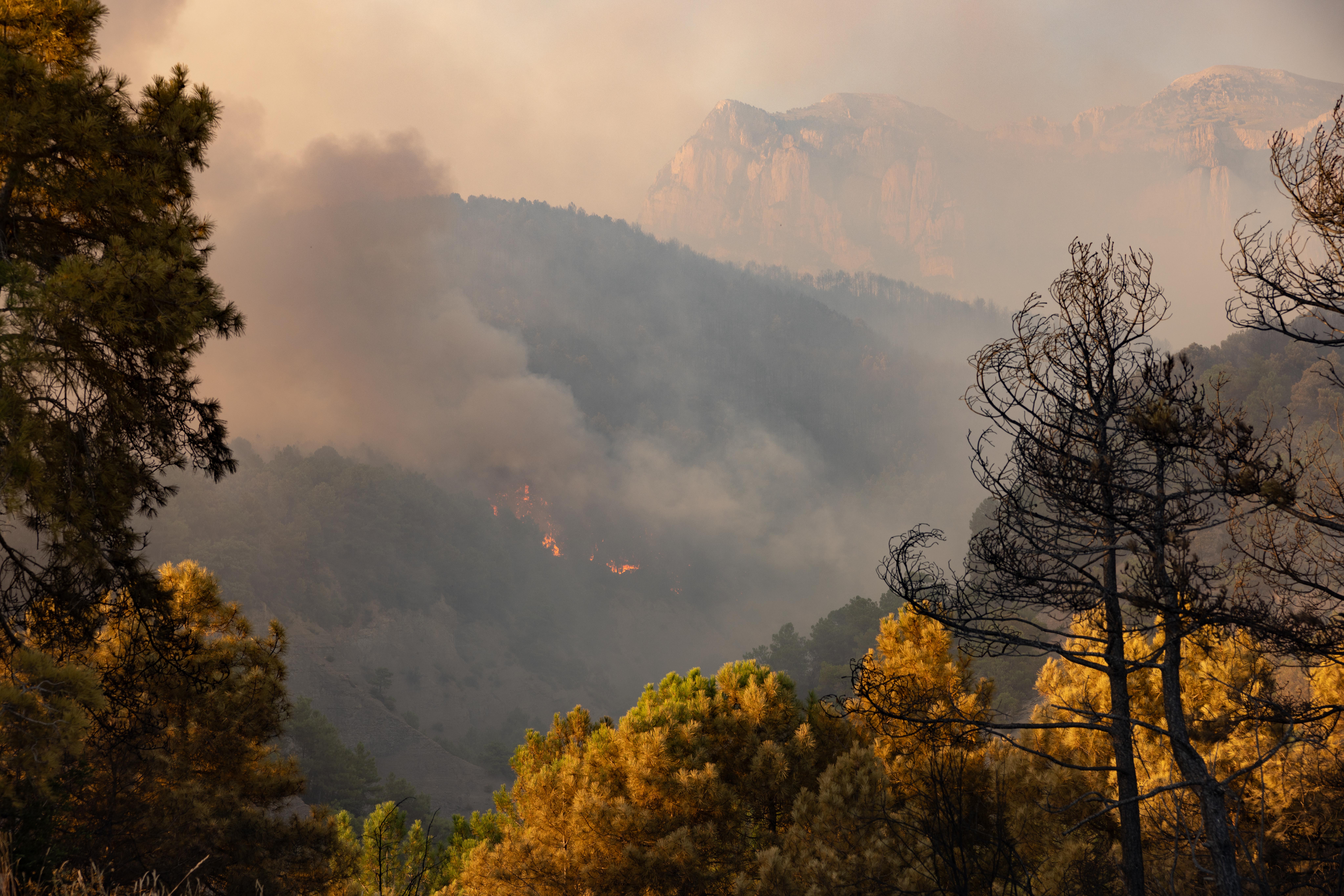 Continúa sin control el incendio en la localidad oscense de El Pueyo de Araguás Continúa sin control el incendio en la localidad oscense de El Pueyo de Araguás
