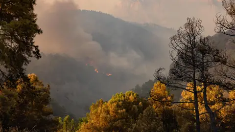 Imagen del incendio en la localidad oscense de El Pueyo de Araguás Imagen del incendio en la localidad oscense de El Pueyo de Araguás