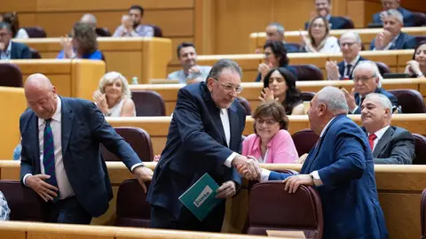 El senador de Junts, Josep María Clerias, durante una sesión plenaria extraordinaria, en el Senado. El senador de Junts, Josep María Clerias, durante una sesión plenaria extraordinaria, en el Senado.