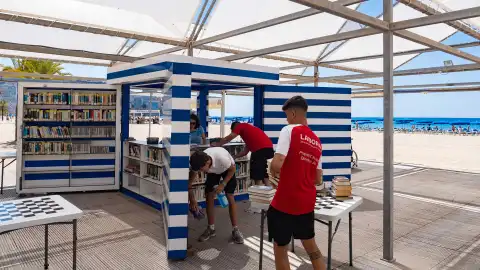 Los alumnos del programa ‘T’Avalem Benidorm Sostenible’ realizarán acciones de educación medioambiental en las playas Los alumnos del programa ‘T’Avalem Benidorm Sostenible’ realizarán acciones de educación medioambiental en las playas