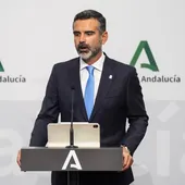 El consejero de Sostenibilidad, Medio Ambiente y Economía Azul de la Junta de Andalucía y portavoz del Gobierno, Ramón Fernández-Pacheco, comparece en la rueda de prensa posterior al Consejo de Gobierno. - Joaquin Corchero - Europa Press El consejero de Sostenibilidad, Medio Ambiente y Economía Azul de la Junta de Andalucía y portavoz del Gobierno, Ramón Fernández-Pacheco, comparece en la rueda de prensa posterior al Consejo de Gobierno. - Joaquin Corchero - Europa Press