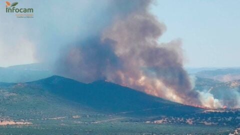 Incendio en Argamasilla de Calatrava