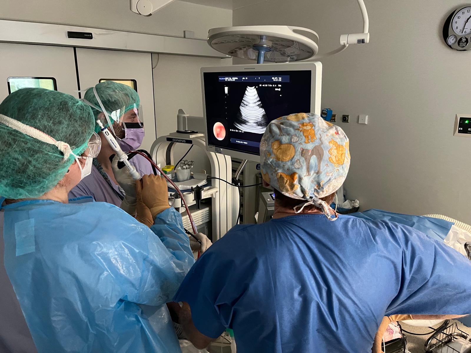 El Servicio de Neumología del Hospital General de Castellón incorpora la técnica del crioEBUS para el diagnóstico de cáncer El Servicio de Neumología del Hospital General de Castellón incorpora la técnica del crioEBUS para el diagnóstico de cáncer