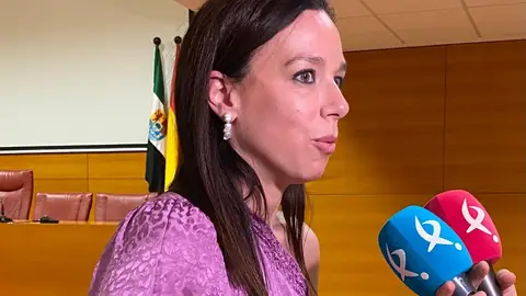 La Junta considera "migajas" que el Gobierno destine 172 millones de euros a reforzar la Atención Primaria La Junta considera "migajas" que el Gobierno destine 172 millones de euros a reforzar la Atención Primaria