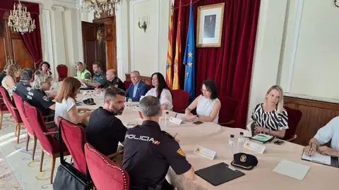 Sistemas antidrón para neutralizar aparatos en las fiestas de Huesca Sistemas antidrón para neutralizar aparatos en las fiestas de Huesca