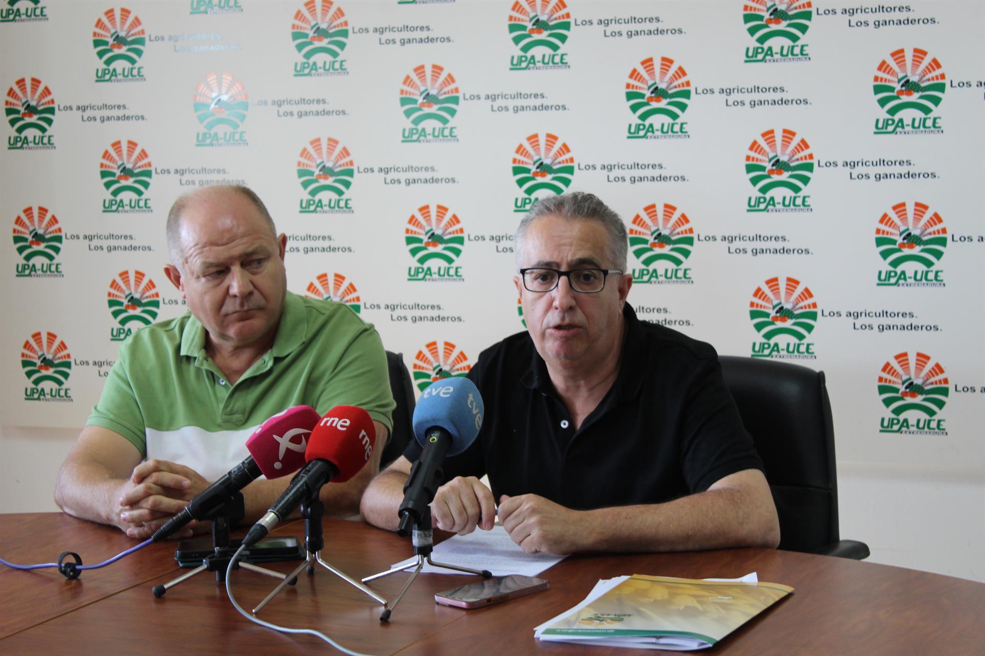 UPA-UCE asegura que la Junta ha dejado sin ayuda a la producción integrada a 1.200 olivareros UPA-UCE asegura que la Junta ha dejado sin ayuda a la producción integrada a 1.200 olivareros