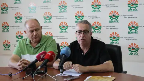 UPA-UCE asegura que la Junta ha dejado sin ayuda a la producción integrada a 1.200 olivareros UPA-UCE asegura que la Junta ha dejado sin ayuda a la producción integrada a 1.200 olivareros