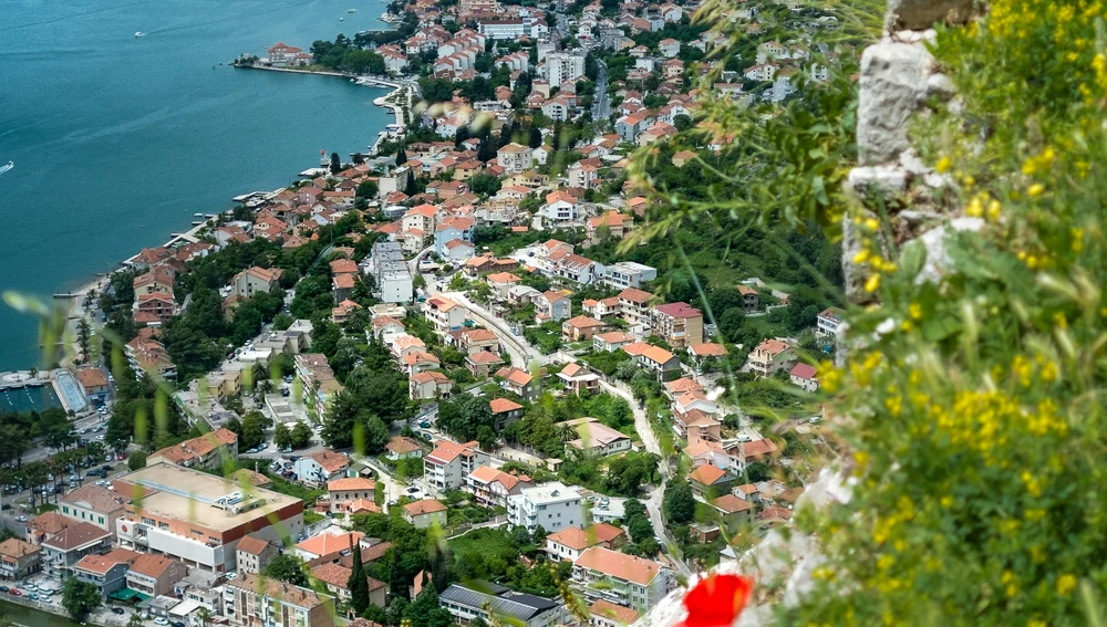Vista de Kotor Vista de Kotor