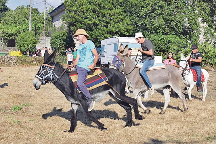 Das "Sopas de Burro Canso e Galo Pica no chan" á Arca da Noe Das "Sopas de Burro Canso e Galo Pica no chan" á Arca da Noe