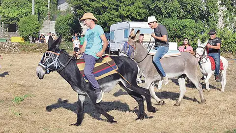Festas "sopas do burro canso" Festas "sopas do burro canso"