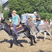 Festas "sopas do burro canso" Festas "sopas do burro canso"