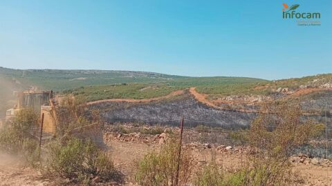 Zona quemada por el incendio de Argamasilla de Calatrava