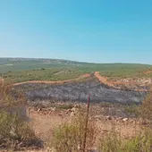 Zona quemada por el incendio de Argamasilla de Calatrava Zona quemada por el incendio de Argamasilla de Calatrava