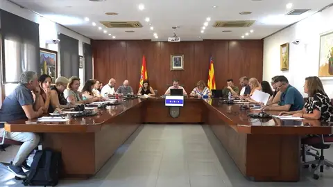 L'Alfàs del Pi aprueba el reglamento para la carrera profesional de sus funcionarios L'Alfàs del Pi aprueba el reglamento para la carrera profesional de sus funcionarios