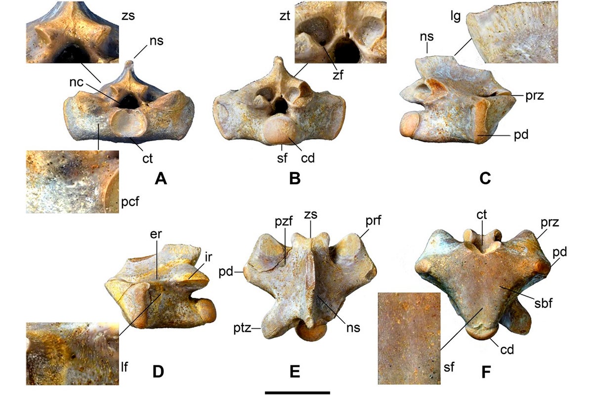 Más de uno Alcalá 18/07/2024 Más de uno Alcalá 18/07/2024