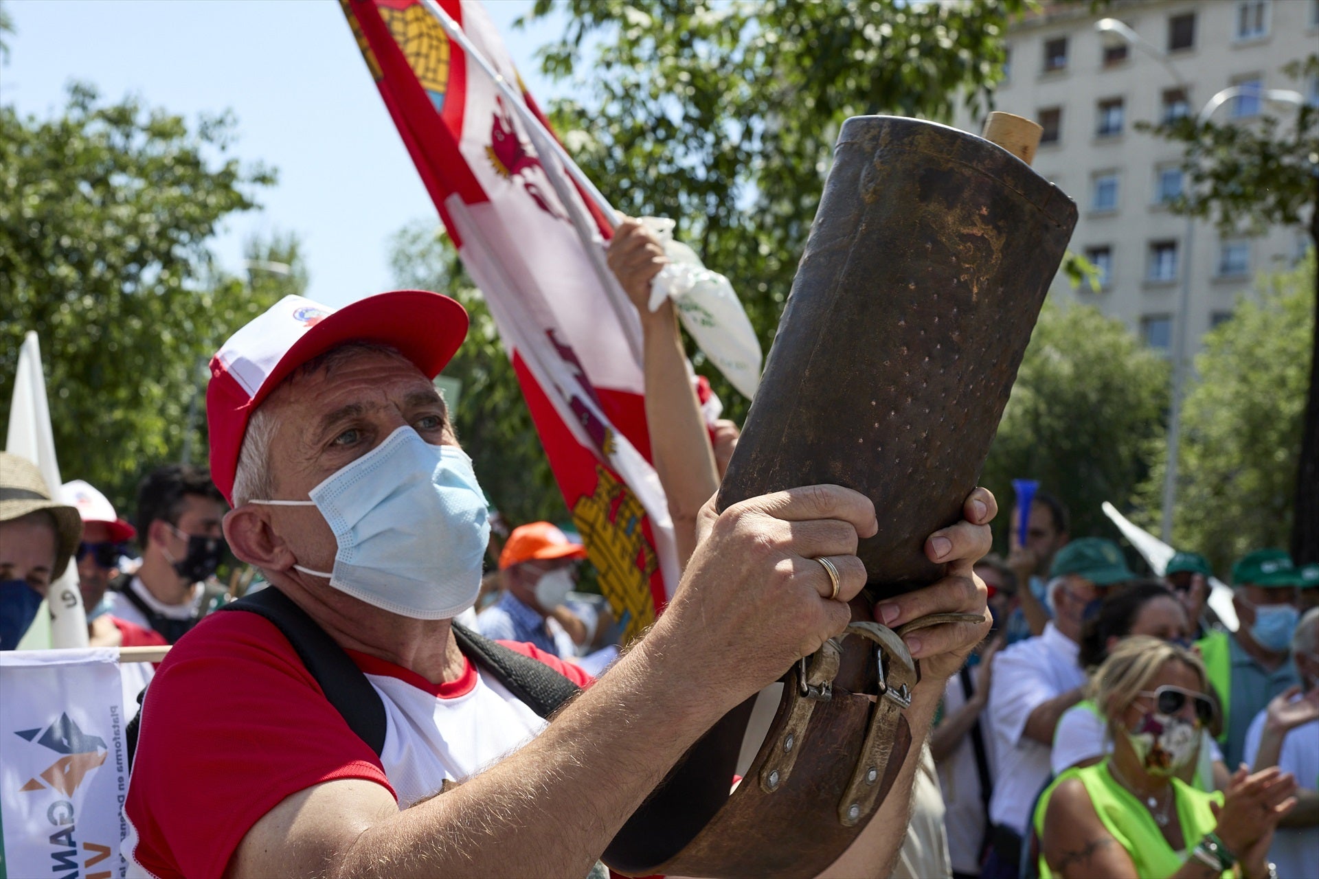 El TJUE declara ilegal la ley de Castilla y León que permite cazar lobos El TJUE declara ilegal la ley de Castilla y León que permite cazar lobos