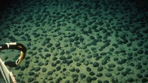 Oxígeno oscuro Oxígeno oscuro