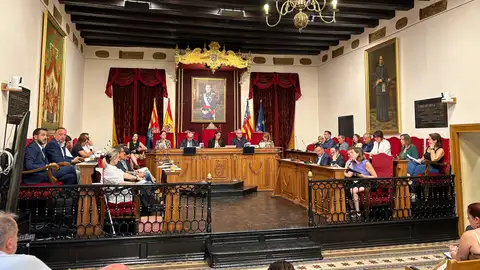 Pleno municipal del Ayuntamiento de Elche del mes de julio. Pleno municipal del Ayuntamiento de Elche del mes de julio.