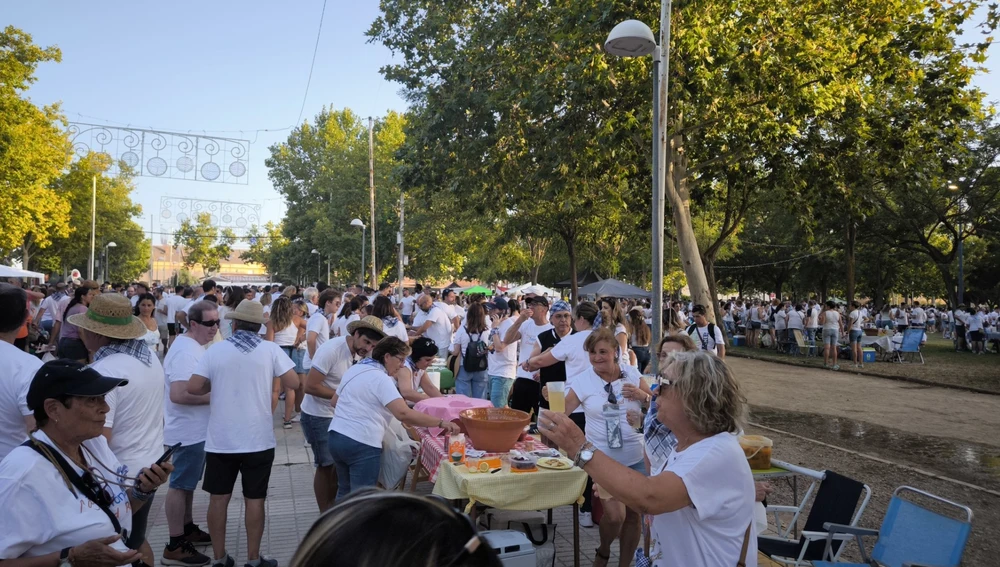 En el concurso han participado 170 grupos En el concurso han participado 170 grupos