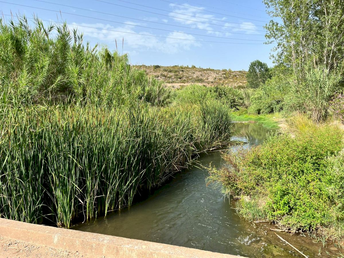 La Unió indica que las restricciones de riego en el Alto Palancia ponen en peligro unos ingresos agrarios de 12 millones de euros La Unió indica que las restricciones de riego en el Alto Palancia ponen en peligro unos ingresos agrarios de 12 millones de euros