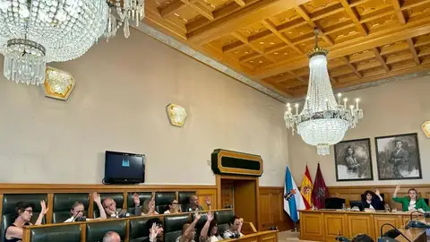 El pleno municipal de Santiago aprueba destinar partidas a "actuaciones urgentes" mientras la oposición acusa al gobierno compostelano de ir "tarde" El pleno municipal de Santiago aprueba destinar partidas a "actuaciones urgentes" mientras la oposición acusa al gobierno compostelano de ir "tarde"