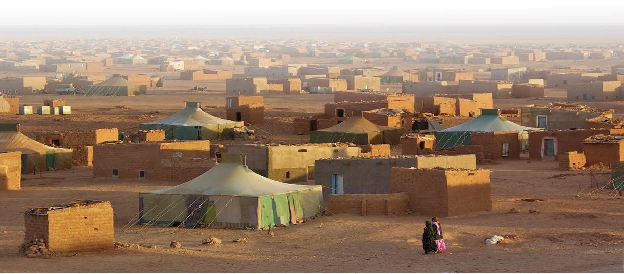 Elche y Cruz Roja firman un convenio para mejorar la Educación Especial en el Sáhara Occidental Elche y Cruz Roja firman un convenio para mejorar la Educación Especial en el Sáhara Occidental