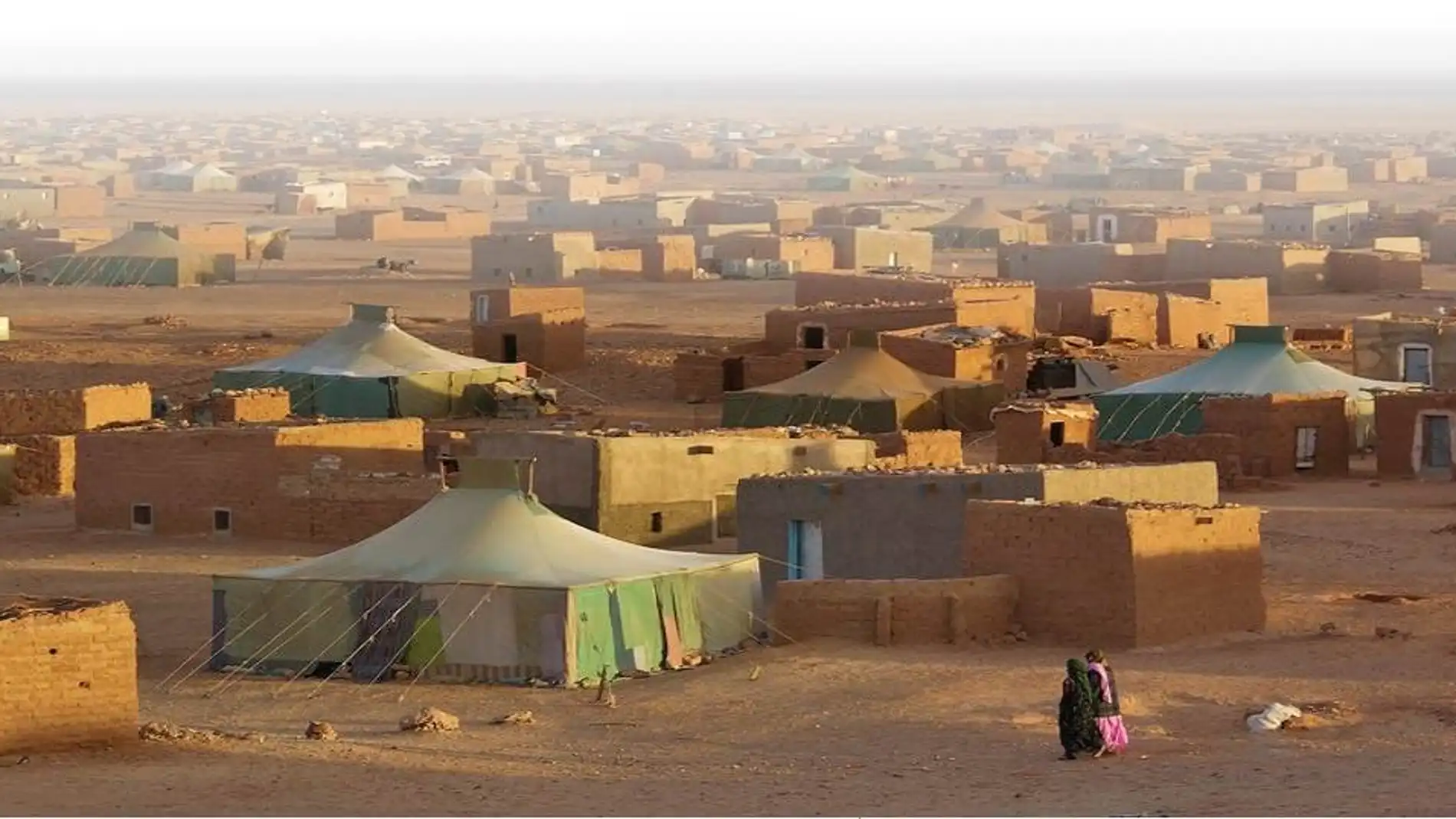 Elche y Cruz Roja firman un convenio para mejorar la Educación Especial en el Sáhara Occidental Elche y Cruz Roja firman un convenio para mejorar la Educación Especial en el Sáhara Occidental