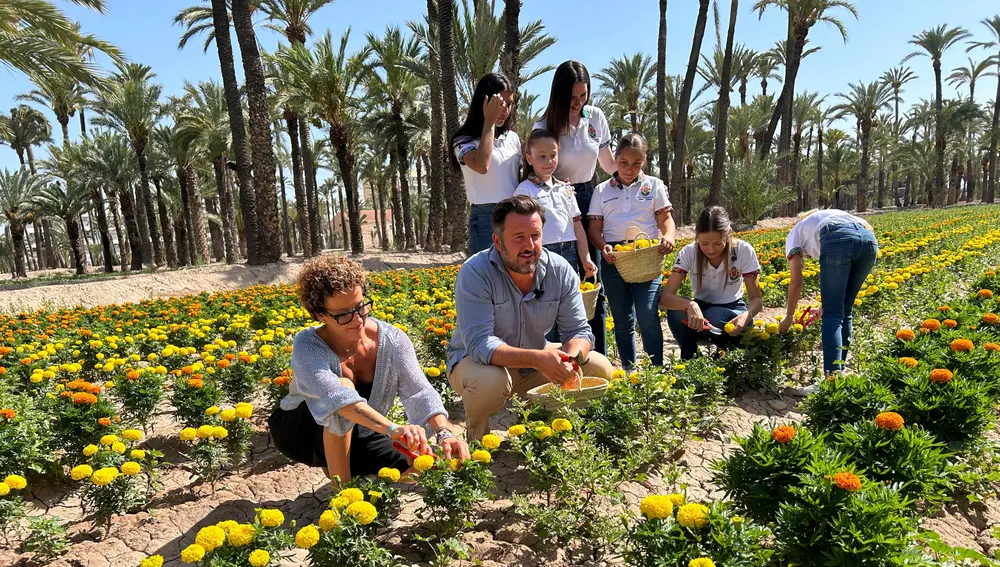 El alcalde de Elche, la pregonera Rosana Perán, las Reinas y Damas de las fiestas de Elche y la concejala de Festejos en el Hort de Dins. El alcalde de Elche, la pregonera Rosana Perán, las Reinas y Damas de las fiestas de Elche y la concejala de Festejos en el Hort de Dins.